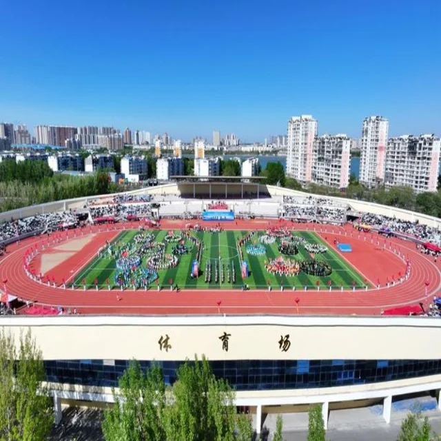 辽宁队半决赛表现全面解析
